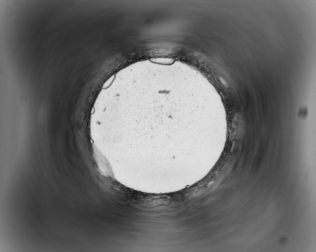 X0000103421441200810241023