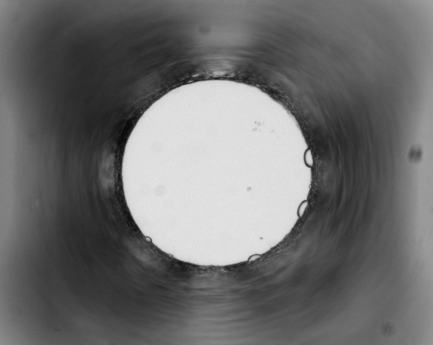 X0000103421442200810241023