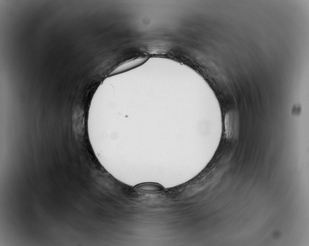 X0000103421443200810241023