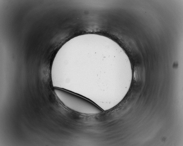 X0000103421444200810241023