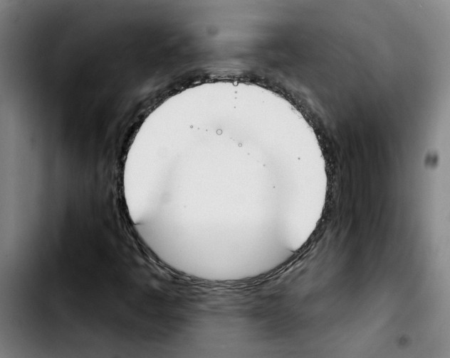 X0000103421445200810241023