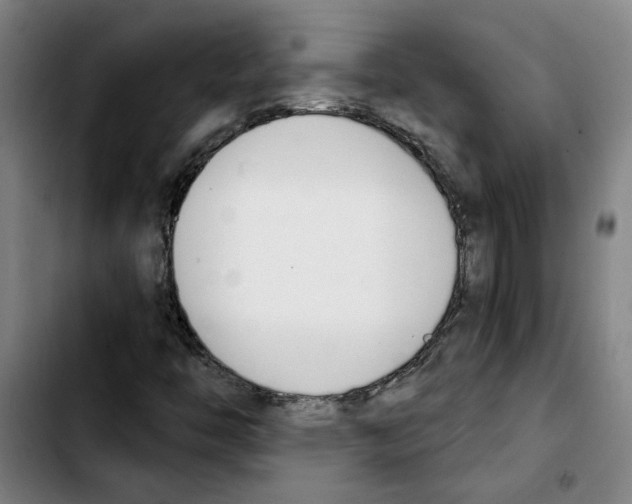 X0000103421446200810241023