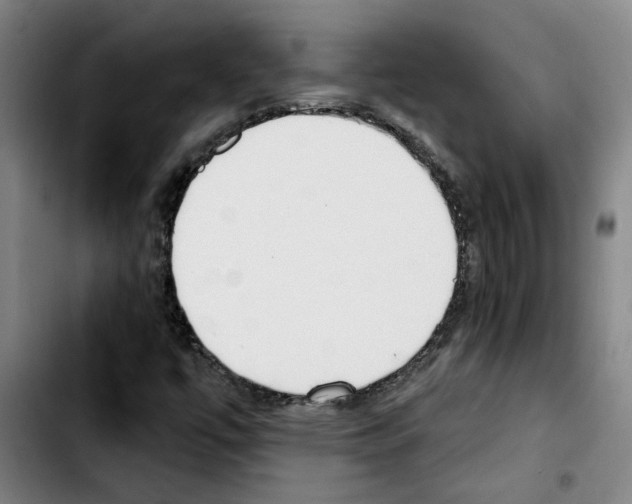X0000103421447200810241023