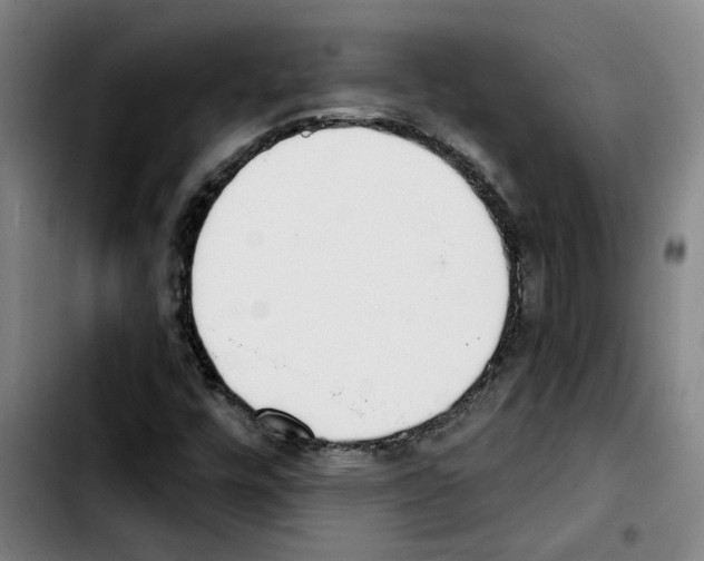 X0000103421448200810241023