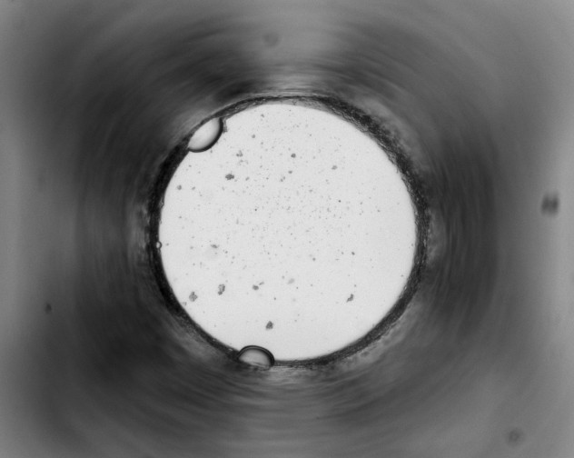 X0000103421449200810241023