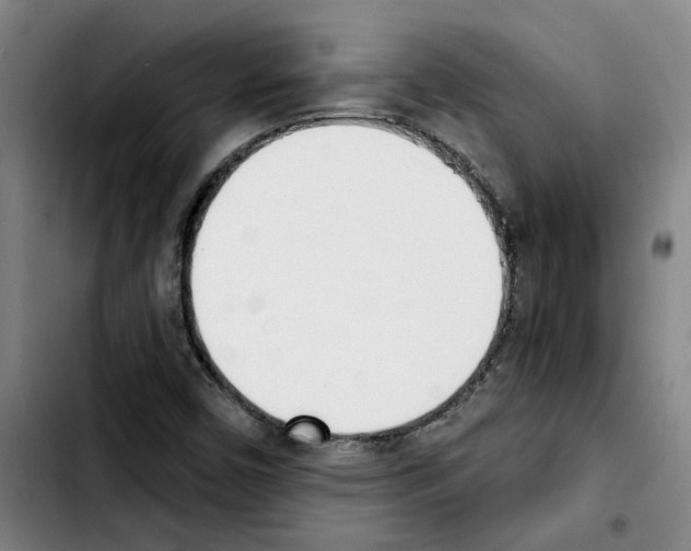 X0000103421450200810241023