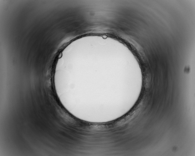 X0000103421451200810241023