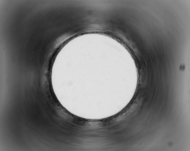 X0000103421453200810241023