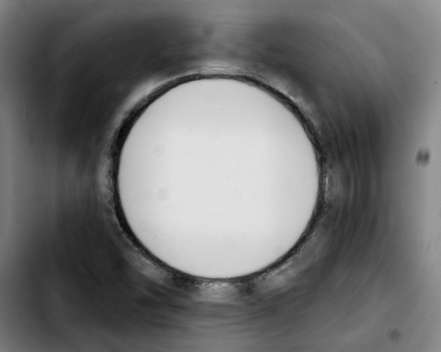 X0000103421454200810241023