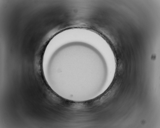 X0000103421455200810241023
