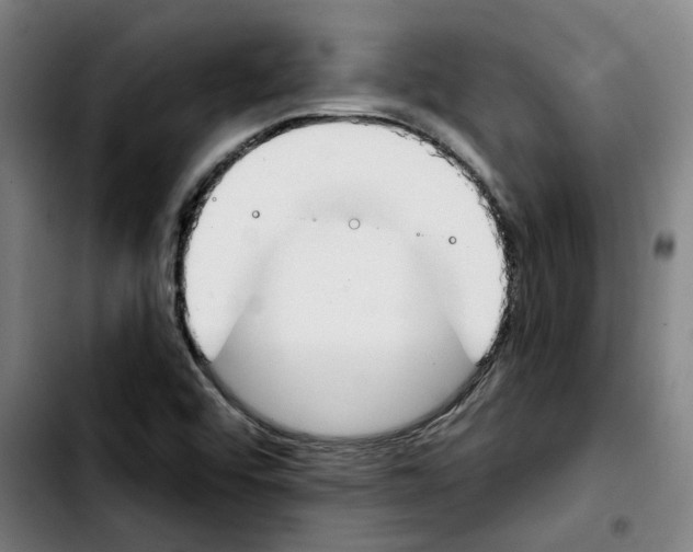 X0000103421456200810241023