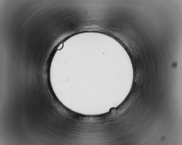 X0000103421458200810241023