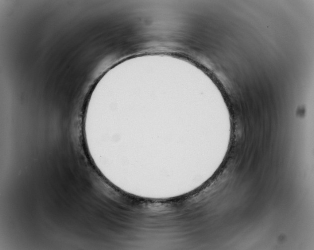 X0000103421459200810241023