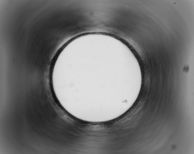 X0000103421460200810241023