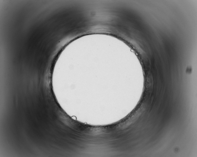 X0000103421461200810241023