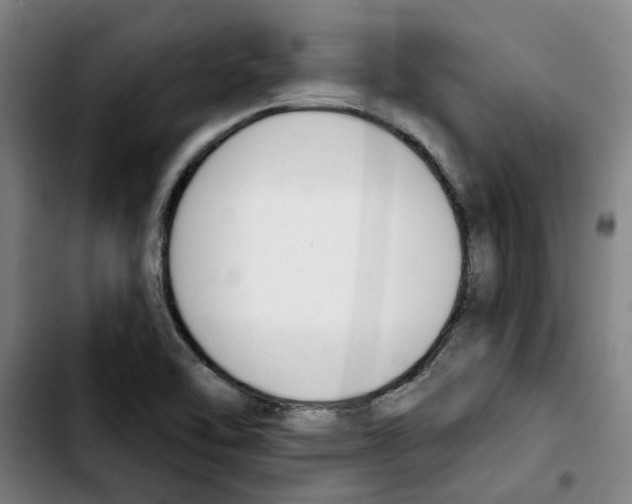 X0000103421462200810241023