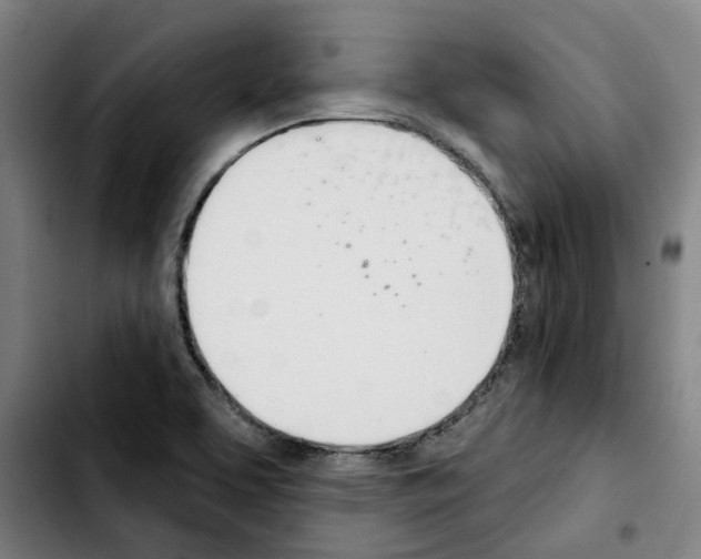 X0000103421463200810241023