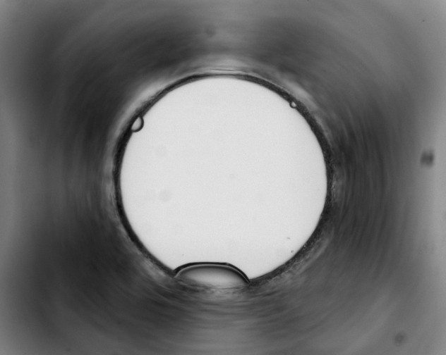 X0000103421464200810241023