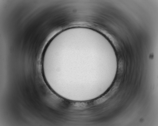 X0000103421466200810241023