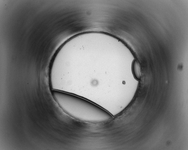X0000103421468200810241023