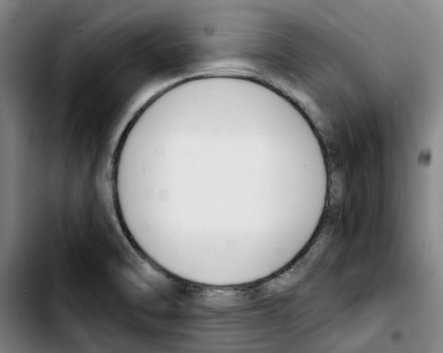 X0000103421470200810241023