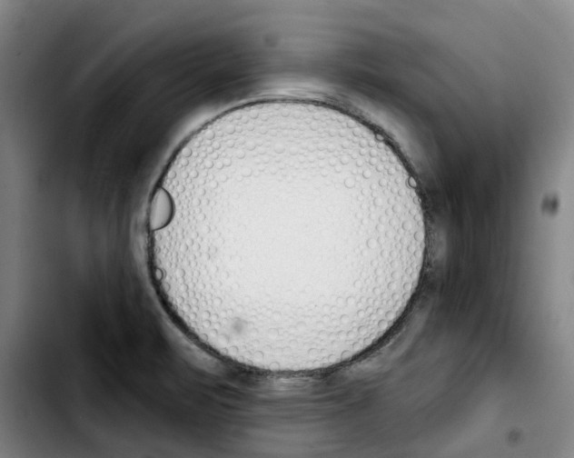 X0000103421471200810241023