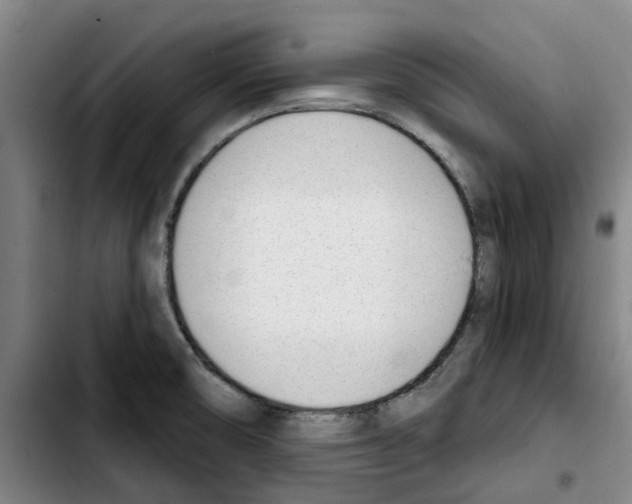 X0000103421474200810241022