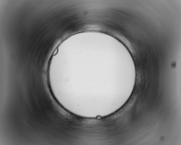 X0000103421475200810241022
