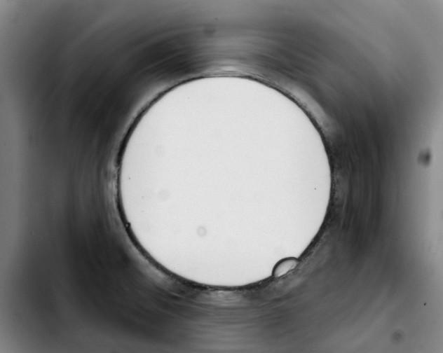 X0000103421476200810241022