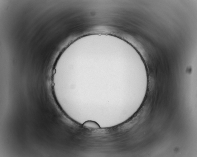 X0000103421477200810241022