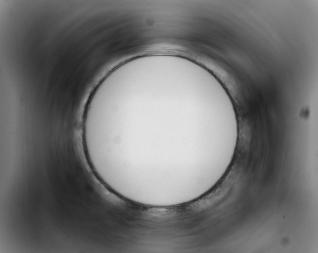 X0000103421478200810241022
