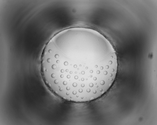 X0000103421479200810241022