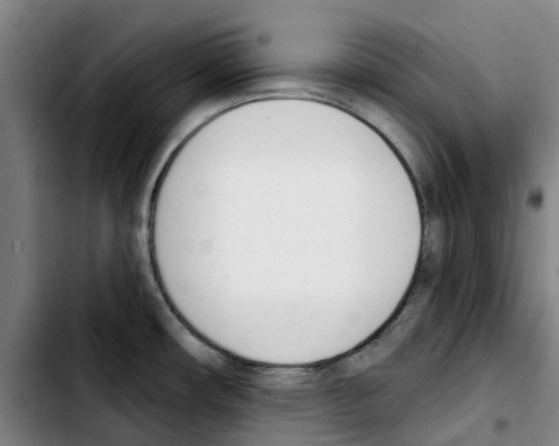 X0000103421482200810241022