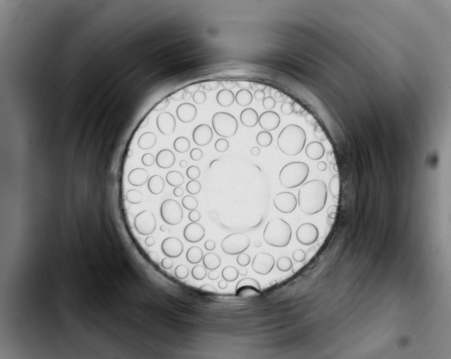 X0000103421483200810241022