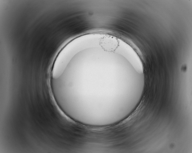 X0000103421484200810241022