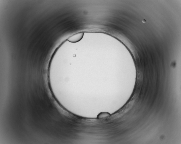 X0000103421485200810241022