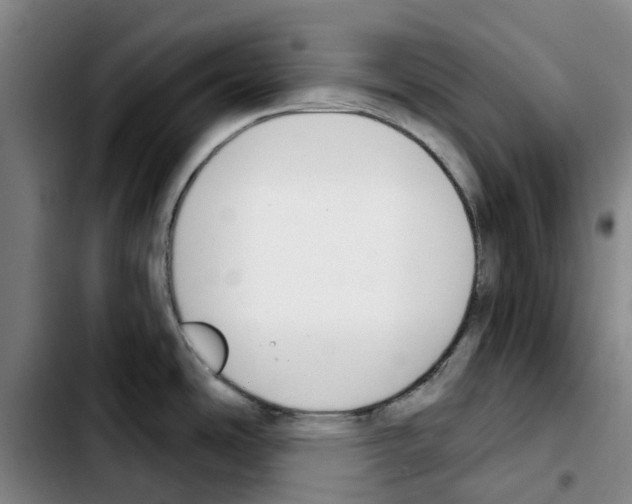 X0000103421486200810241022