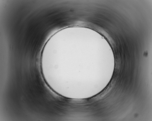 X0000103421487200810241022