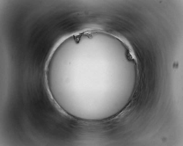 X0000103421488200810241022