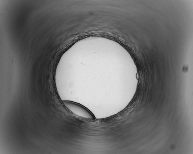 X0000103421489200810241022
