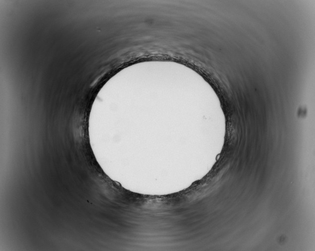 X0000103421490200810241022