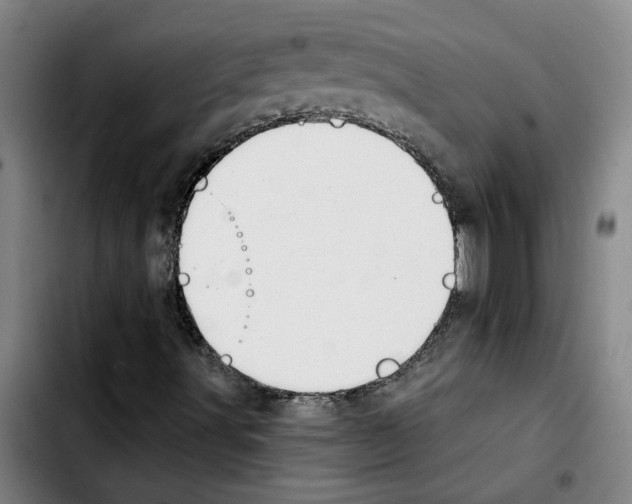 X0000103421491200810241022