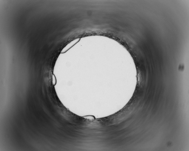 X0000103421492200810241022
