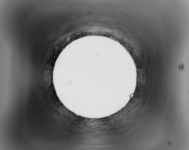 X0000103421493200810241022