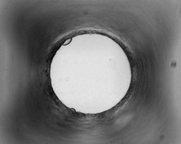 X0000103421494200810241022