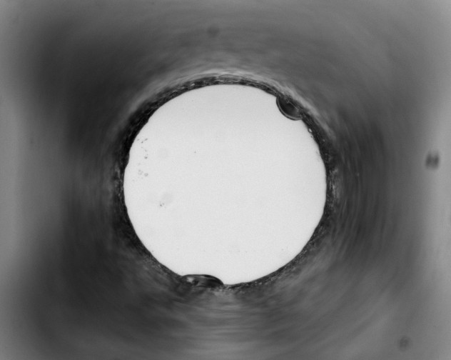 X0000103421495200810241022