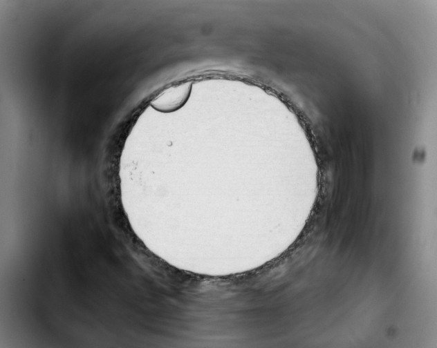 X0000103421496200810241022