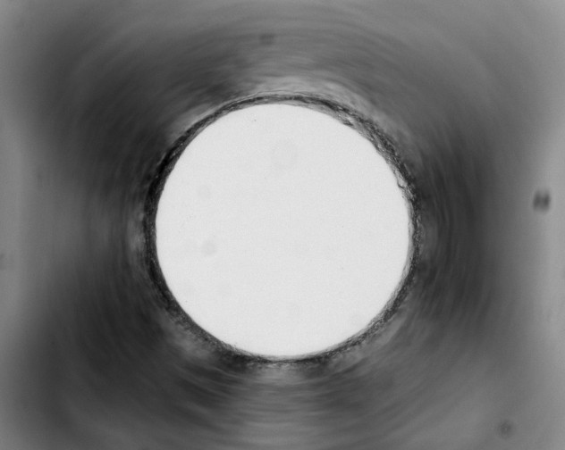 X0000103421497200810241022