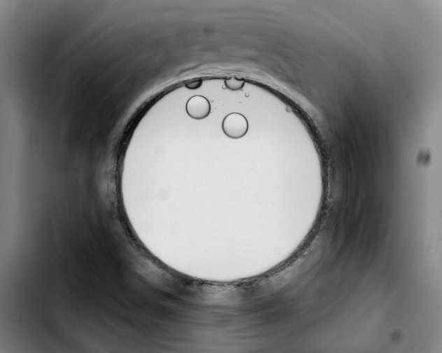 X0000103421498200810241022