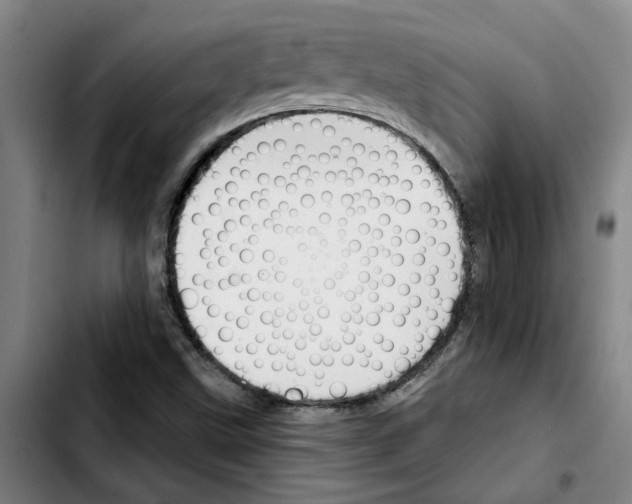 X0000103421499200810241022